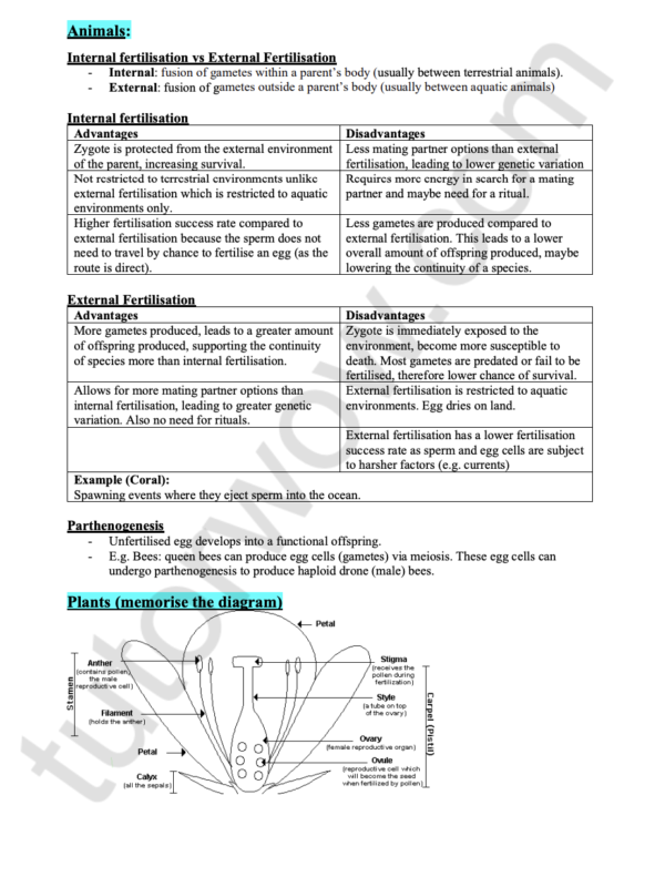 99 ATAR Module 5 HSC Biology Notes - Heredity